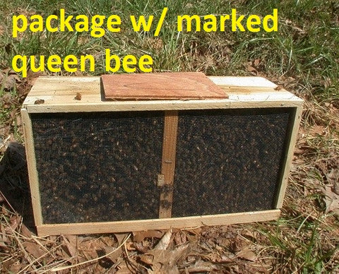 2024  3 Lbs. Package of Italian Honey Bees with MARKED Queen