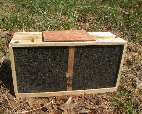 2024  3 Lbs. Package of Italian Honey Bees with UNMARKED Queen